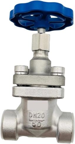 DJ-20G Short Stem Cryogenic Globe Valve 5MPa DN20 Low Temperature in Saudi Arabia