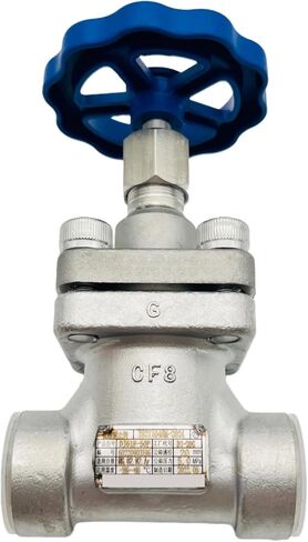 DJ-20G Short Stem Cryogenic Globe Valve 5MPa DN20 Low Temperature in Saudi Arabia