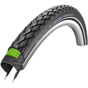 Schwalbe in Kuwait