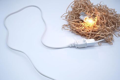 سلك تمديد بطول 3 أقدام، سلك تمديد طاقة قصير، سلك تمديد ذكر أنثى 18 AWG، كابل تمديد صغير للداخل، أبيض in Kuwait