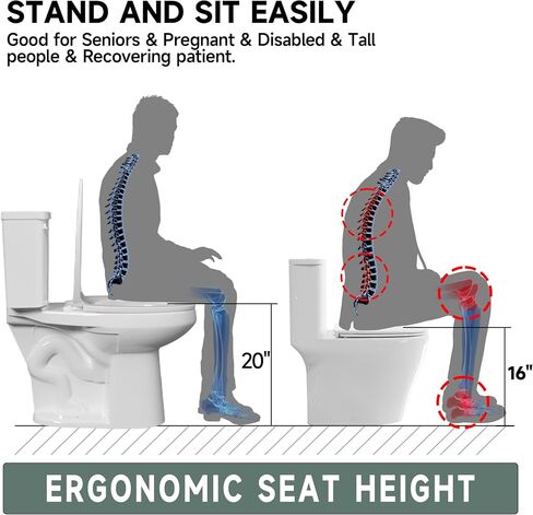 19 Inch ADA Elongated Tall Toilet for Seniors 1.28 GPF White | Vitreous China Tornado Single Flush, For Bathroom, Comfort Seat Height 20",12" Rough In in Kuwait