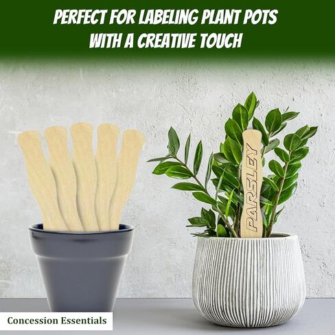 مقابض مروحة خشبية من Concession Essentials، 8 بوصات، عدد 100، أعواد حرفية ضخمة لبرامج الزفاف in Kuwait