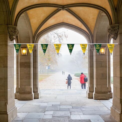 AGAS George Mason GMU University Pennant String Triangle flag football for Birthday Parties Patriots Theme Party - 15FT in Kuwait