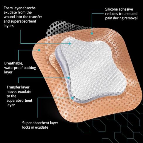 ضمادة إسفنجية من Medline Optifoam Gentle SA ذات وجه من السيليكون في عبوة تعليمية، 6 بوصة × 6 بوصة (15.2 × 15.2 سم)، صندوق من 10 قطع in Kuwait