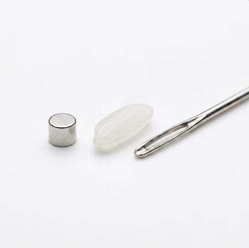 100pcs 1mm x 1mm Extremely Small Disc Neodymium Magnets Rare Earth Magnets Cylindrical Shape Multi-Purpose Craft Magnets in Kuwait