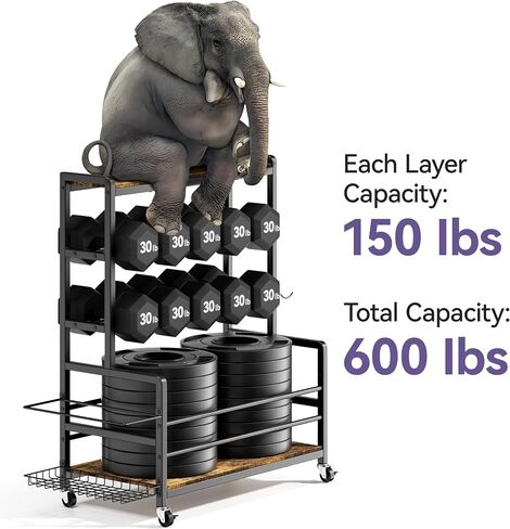 Dumbbell Rack with Wheels, 3-Tier Home Gym Storage Rack, Workout Equipment Organizer with Lockable Casters, Hooks, Side Basket and Wood Shelves in Kuwait
