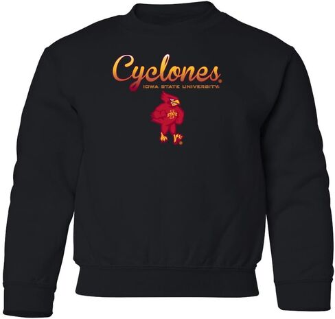 اختر التصميم الخاص بك من CornBorn Kids - سويت شيرتات ISU Cyclones للشباب بفتحة رقبة مستديرة in Kuwait