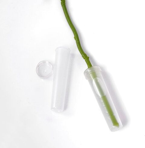 baotongle 60pcs Clear Leak-Proof Floral Water Tubes with Caps 2.8 in Reusable Floral Water Tubes for Single Stem Flower Arrangements Roses Bouquets in Kuwait