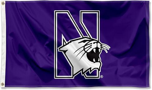 شعار Northwestern Wildcats بحلقة معدنية مقاس 3×5 in Kuwait