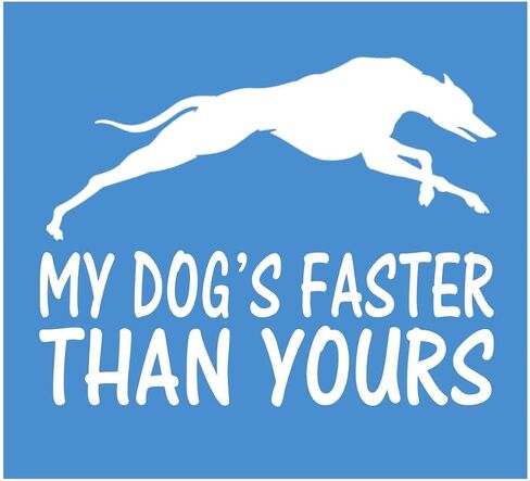 ملصق My Dog's Faster Than Yours K473 مقاس 6 بوصة ملصق كلب السلوقي in Kuwait