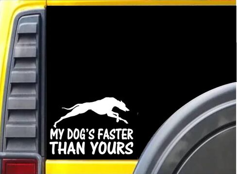 ملصق My Dog's Faster Than Yours K473 مقاس 6 بوصة ملصق كلب السلوقي in Kuwait