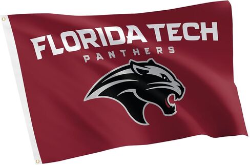 Desert Cactus Florida Institute of Technology FIT Flag - 3 x 5 Feet Panthers Banner, Indoor/Outdoor Durable Fabric, 100% Polyester Design (Style A) in Saudi Arabia
