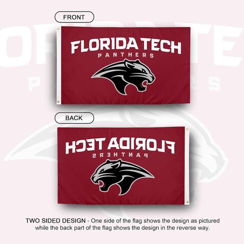 Desert Cactus Florida Institute of Technology FIT Flag - 3 x 5 Feet Panthers Banner, Indoor/Outdoor Durable Fabric, 100% Polyester Design (Style A) in Saudi Arabia