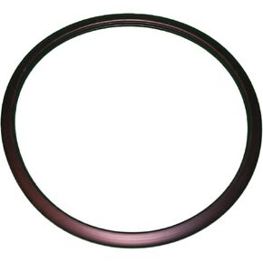 ALLIANCE LAUNDRY SYSTEMS Gasket, Door (C80/100) (F8440801P) in Saudi Arabia