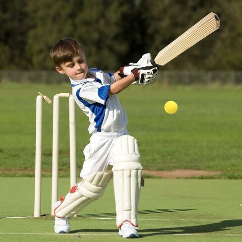 Kisangel Kids Cricket Set with Bat and Ball Interactive Indoor and Outdoor Sports Toy for Children Parent-Child Backyard Game to Develop Coordination and Social Skills in Kuwait