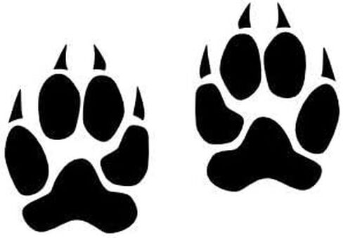 Wildcat Paw Prints - عبوة من 4 - ملصق فينيل مضاد للماء لملصقات الكمبيوتر المحمول على الحائط ونافذة السيارة in Kuwait