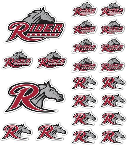 Desert Cactus Rider University Sticker Broncs Sticker Vinyl Decals Laptop Water Bottle Car Scrapbook Sheet T1 (Type 1-1) in Kuwait