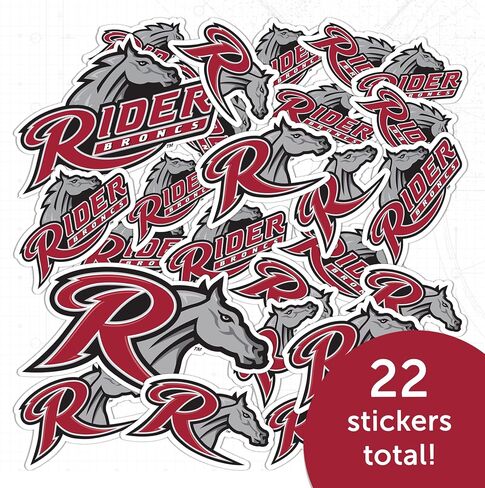 Desert Cactus Rider University Sticker Broncs Sticker Vinyl Decals Laptop Water Bottle Car Scrapbook Sheet T1 (Type 1-1) in Kuwait