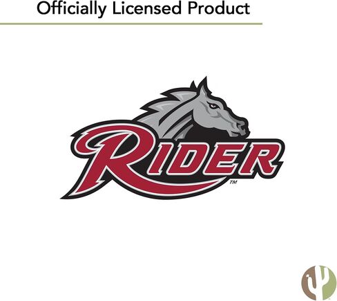 Desert Cactus Rider University Sticker Broncs Sticker Vinyl Decals Laptop Water Bottle Car Scrapbook Sheet T1 (Type 1-1) in Kuwait