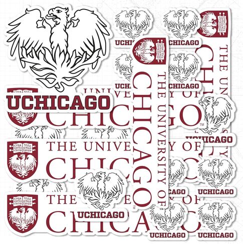 Desert Cactus The University of Chicago Sticker UChicago Maroons Sticker Vinyl Decals Laptop Water Bottle Car Scrapbook Sheet T1 (Type 1-1) in Kuwait