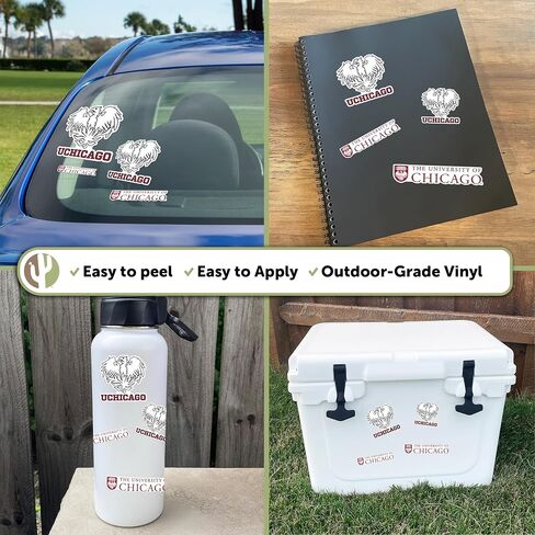 Desert Cactus The University of Chicago Sticker UChicago Maroons Sticker Vinyl Decals Laptop Water Bottle Car Scrapbook Sheet T1 (Type 1-1) in Kuwait