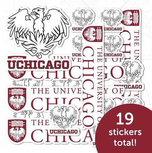Desert Cactus The University of Chicago Sticker UChicago Maroons Sticker Vinyl Decals Laptop Water Bottle Car Scrapbook Sheet T1 (Type 1-1) in Kuwait