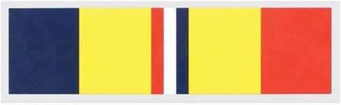 Combat Action Ribbon 1.75"x3.75" Decal in Kuwait