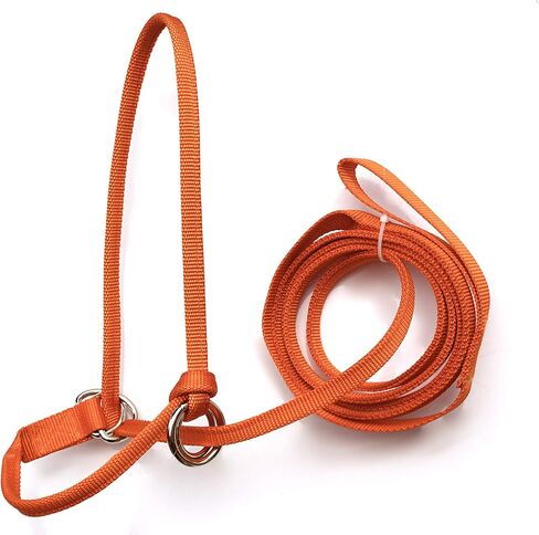Extra Small - Sheep, Goat, Small Calf Adjustable Halter & Lead USA 250-700bs (Baby Blue) in Kuwait