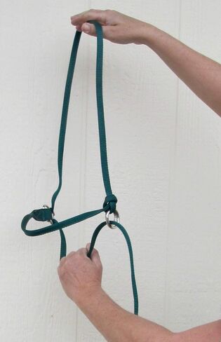 Extra Small - Sheep, Goat, Small Calf Adjustable Halter & Lead USA 250-700bs (Baby Blue) in Kuwait