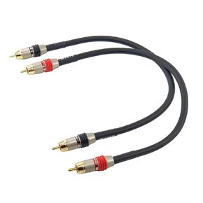 WJSTN RCA to RCA Audio Cable Subwoofer Cable, Digital Coaxial Audio Cable RCA Male to RCA Male Dual Shielded Wire -Black 2pack (1FT)