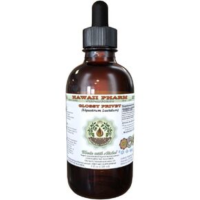Glossy Alcohol-Free Liquid Extract, Organic Privet Glossy Privet (Ligustrum Lucidum) Dried Fruit Glycerite Hawaii Pharm Natural Herbal Supplement 2 oz