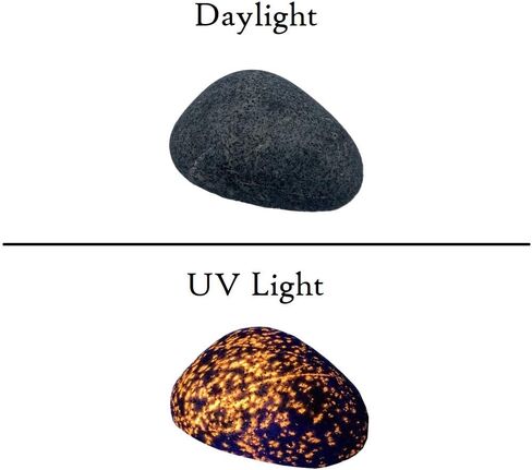 Yooperlite Authentic Glow Stone from Michigan's Upper Peninsula (1oz Stone) in Kuwait