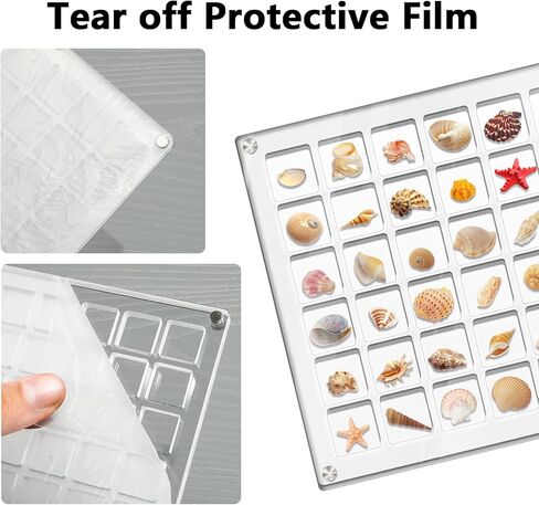 Yopih Clear Magnetic Seashell Display Box - 36 Grids, Acrylic Decorative Seashell Storage Box for Seashell, Bead, Nail, Jewelry, DIY Crafts in Kuwait