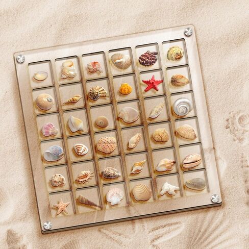 Yopih Clear Magnetic Seashell Display Box - 36 Grids, Acrylic Decorative Seashell Storage Box for Seashell, Bead, Nail, Jewelry, DIY Crafts in Kuwait