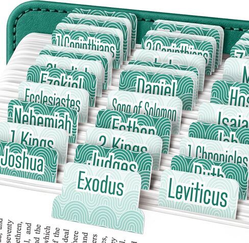EssexWares – Purple Hearts Bible Tabs for Old and New Testament, 80 Large Print Tabs for Bible Study, Water-Resistant and Durable Bible Index Tabs for Women and Men - 1.7" Wide in Saudi Arabia
