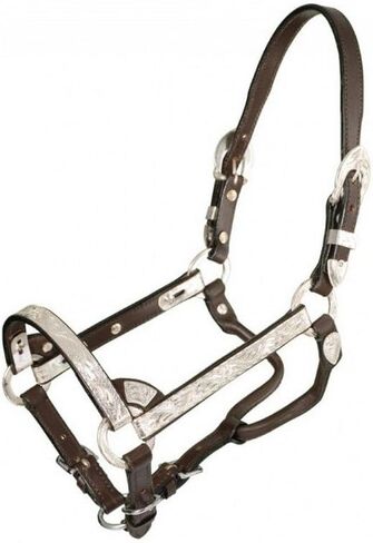 Royal King Silver Mini Show Halter in Saudi Arabia