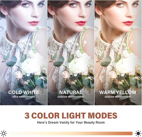 CASSILANDO Vanity Makeup Mirror with Lights,Hollywood Makeup Mirror, Large Vanity Lighted Mirror with 14 LED Bulbs,3 Color Lighting Modes in Kuwait
