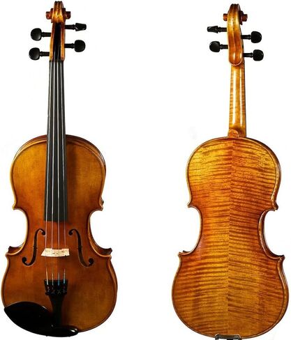 D Z Strad Viola Model N2011 with D Z Strad Bow, Case, Rosin and Shoulder Rest (16.5" - Size) in Saudi Arabia