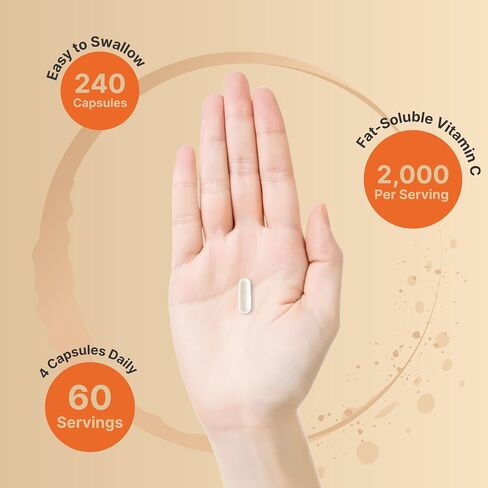NatureBell Liposomal فيتامين C 2000 مجم لكل وجبة، 240 كبسولة | فيتامينات عالية الامتصاص قابلة للذوبان في الدهون - مكمل مضاد للأكسدة بقوة قصوى* - غير معدّل وراثيًا وخالي من الغلوتين in Kuwait
