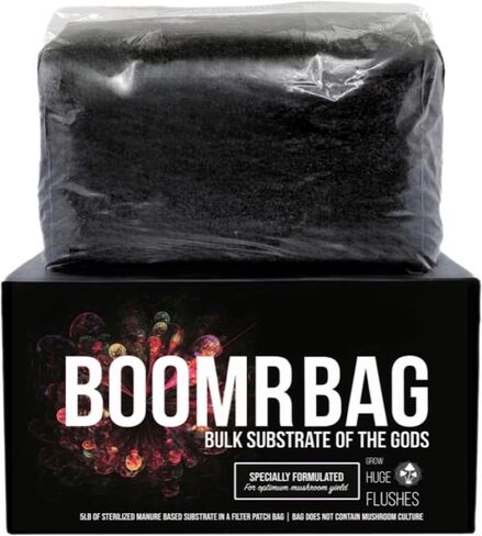 حقيبة Boomr 2.27 كجم | مزيج أساسي من مواد المانورية | زرع الفطر الصالحة للأكل في المنزل | سهل الاستخدام في مونوباب | صندوق مع طبقة عيش معقمة in Saudi Arabia