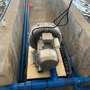Multi-Use Regenerative Ring Pump High Pressure Vortex Blower Industrial High-Pressure Equipment，Industrial Vortex Ring Blower, Regenerative Air Blower with Dust Filter & Aluminum Impeller, 1 in Kuwait