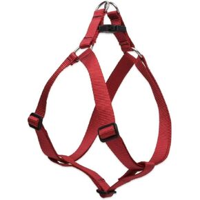 سرج LupinePet Basics مقاس 1/2 بوصة باللون الأحمر مقاس 12-18 بوصة للكلاب الصغيرة in Kuwait