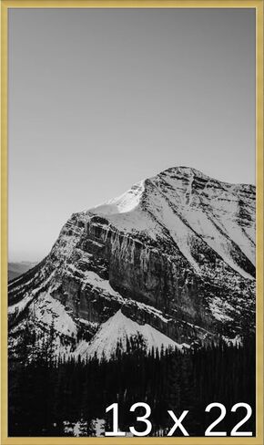 Frame It Easy 13 7/8 x 22 7/8 Satin Black Metal Frame (Ashford) 13.9x22.9 inches in Saudi Arabia