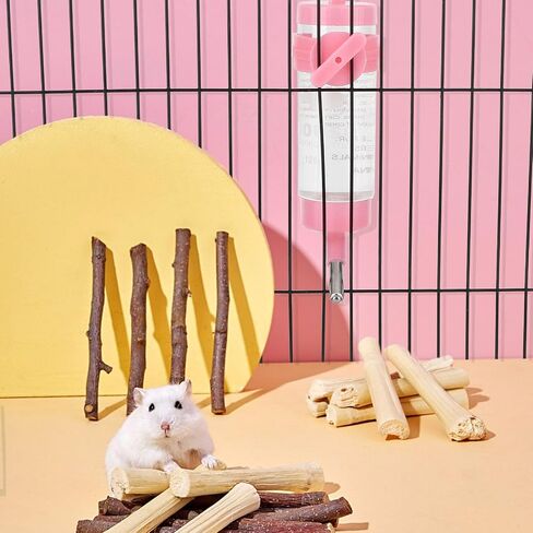 Hypeety Hamster Cage Drinking Water Bottle Parrot Mice Rat Gerbils Water Feeder Bowl 125ML (4.4 oz) 1Pcs Random Color in Saudi Arabia