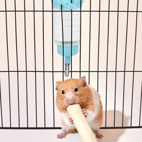 Hypeety Hamster Cage Drinking Water Bottle Parrot Mice Rat Gerbils Water Feeder Bowl 125ML (4.4 oz) 1Pcs Random Color in Saudi Arabia