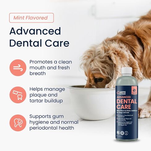 Vets Preferred Oral Care Water Additive for Dogs - Healthy Mouth Dog Breath Freshener Mouthwash - Fights Bad Breath, Removes Plaque and Tartar - Prevents Gum Disease - Mild Mint Flavor in Saudi Arabia