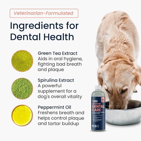 Vets Preferred Oral Care Water Additive for Dogs - Healthy Mouth Dog Breath Freshener Mouthwash - Fights Bad Breath, Removes Plaque and Tartar - Prevents Gum Disease - Mild Mint Flavor in Saudi Arabia