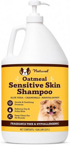 Natural [Dog] Company Oatmeal Sensitive Skin Shampoo, 12 oz., Dandruff Shampoo, Hypoallergenic, Plant Based Ingredients, Bathing Supplies, Itchy [Skin] relief for [Dog]s in Saudi Arabia