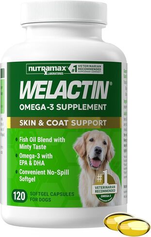 Nutramax Welactin Omega-3 Fish Oil Skin and Coat Health Supplement Liquid for Dogs, 120 Softgels in Saudi Arabia