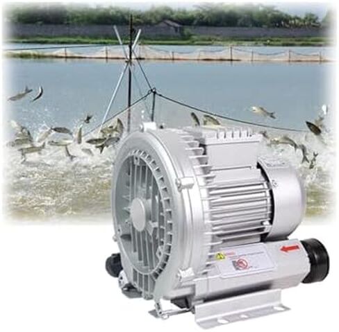 Multi-Use Regenerative Ring Pump High Pressure Vortex Blower Industrial High-Pressure Equipment，Industrial Blower Vortex Ring Blower Large Airflow Type Fish Pond Aerator Regenerative Strong in Kuwait